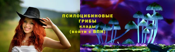 винт Бородино