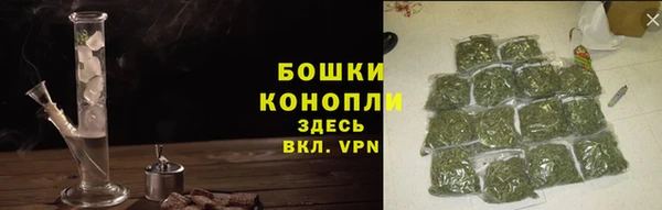 винт Бородино