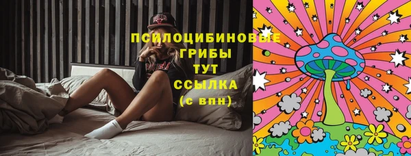винт Бородино