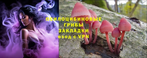 винт Бородино