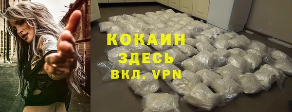 винт Бородино