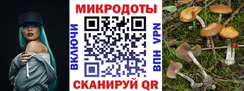Псилоцибиновые грибы GOLDEN TEACHER  Купить  Нытва 