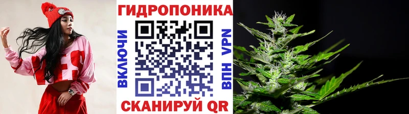 Марихуана AK-47  Купить закладки  Нытва 